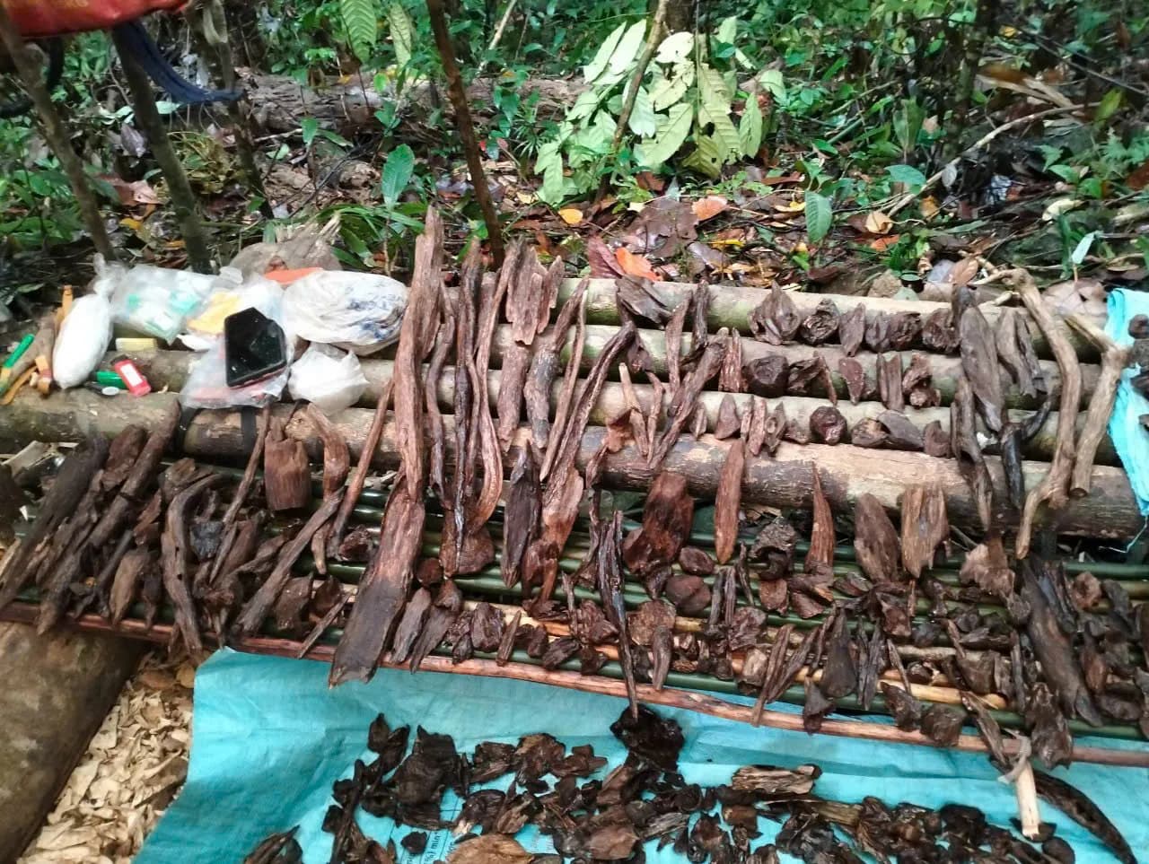 Câu chuyện về Trầm